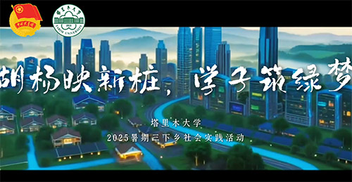 ����ӳ�����W�����G��